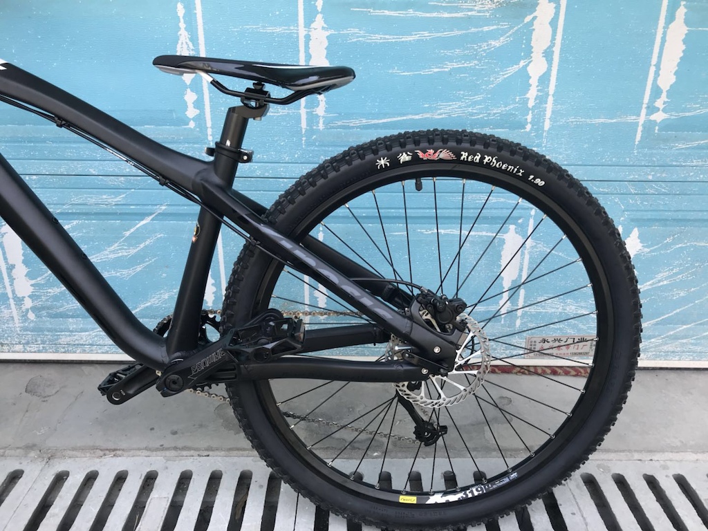 kinesis santa cruz