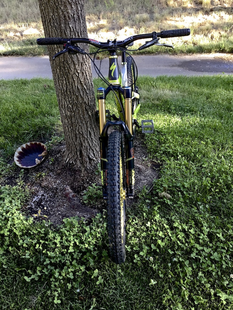 2011 CUSTOM ! 100%