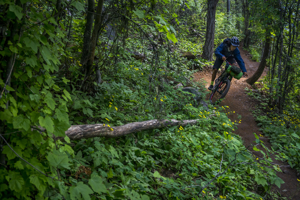 Shred-Ventures On The Cheap - Pinkbike