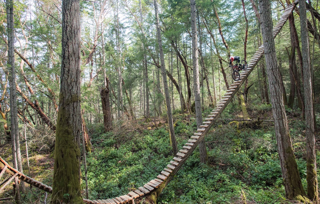 Alec Beaton riding on an incredible wood work structure (Jordie Lunn built) deep in Victoria's forests.