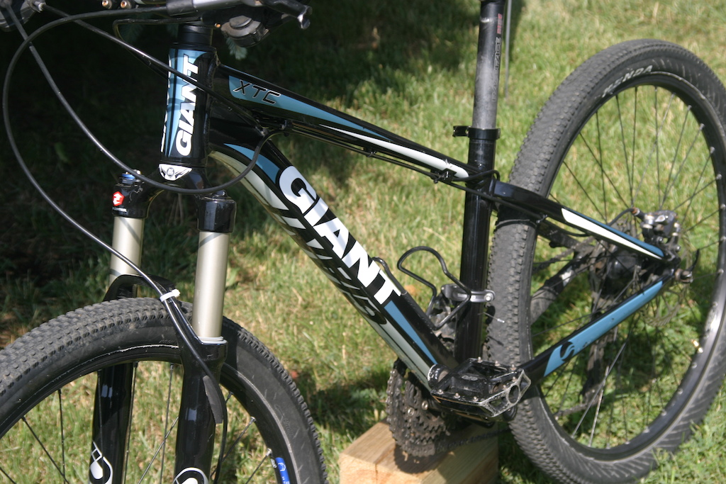 speed dating whitby speed dating whitby