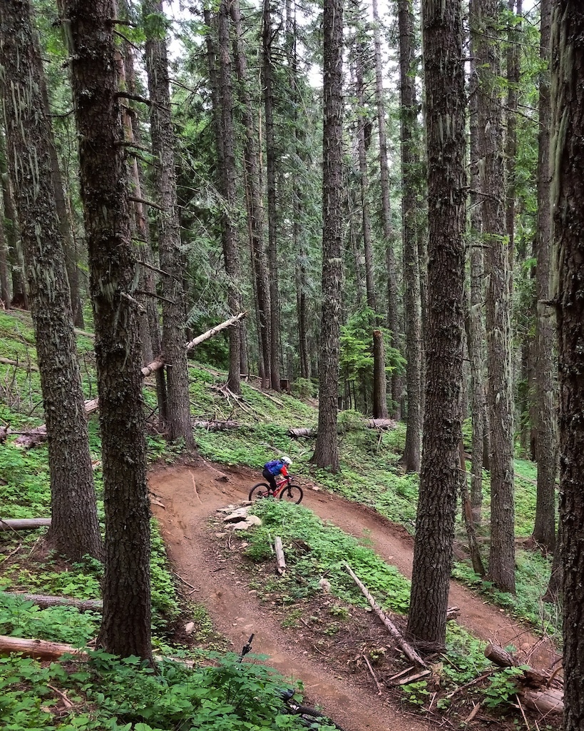 First large berm on The Goods, trail 290 at Mt Spokane