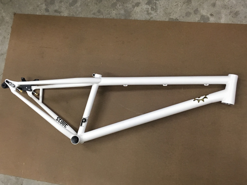 Stout 650 DJ

Stainless dropouts/slider 142X12