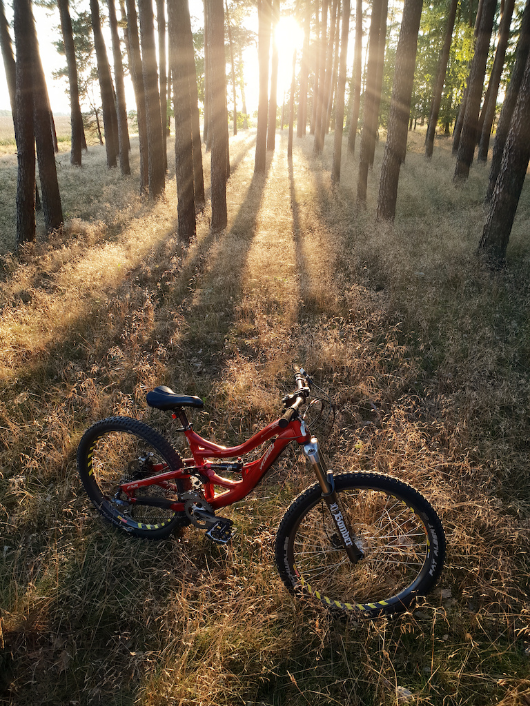 specialized slopestyle frame