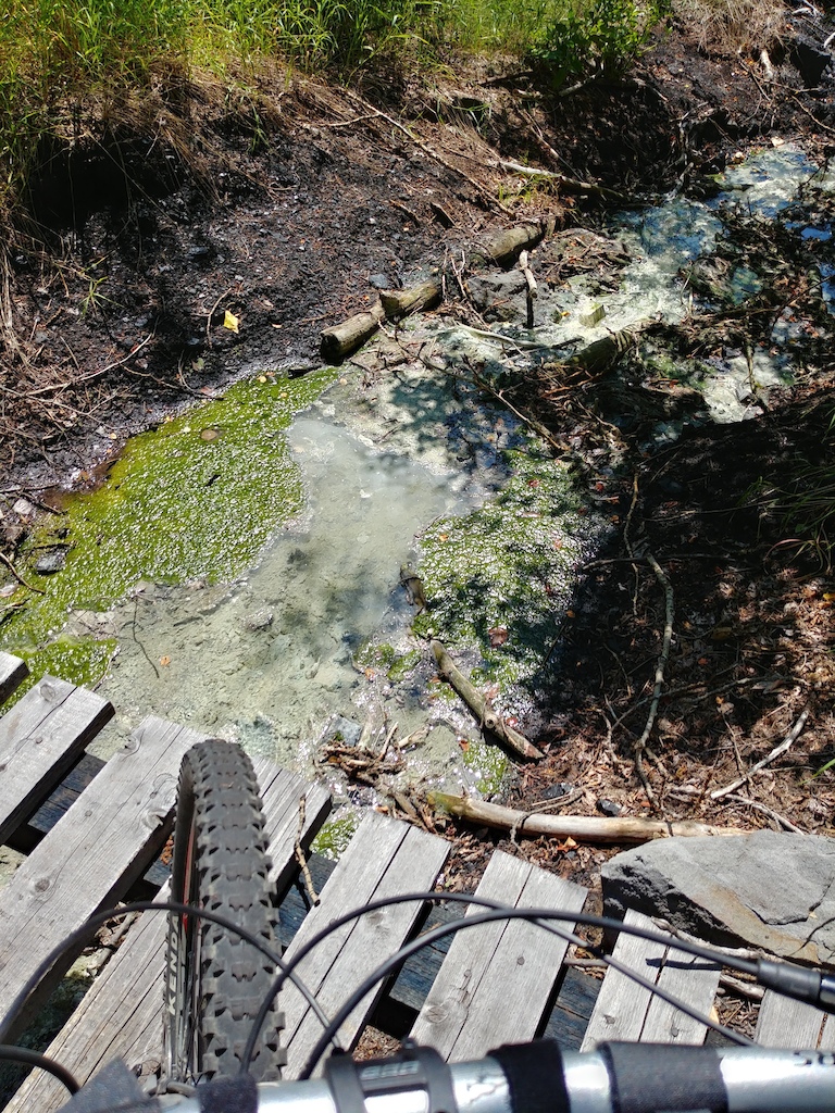 Sulphur mixed into the water... lots of algae!