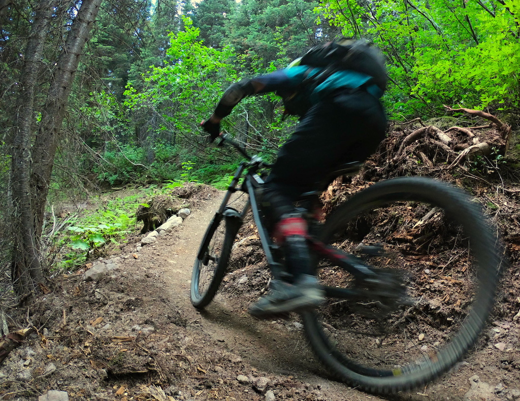 A couple of the first tracks down this raw fresh and nasty singletrack.