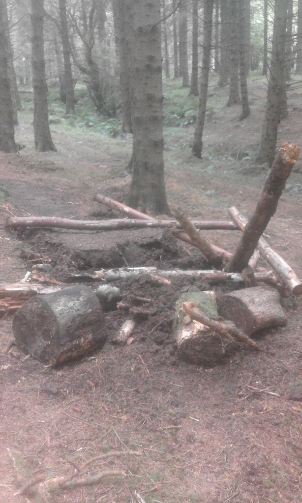 More trail sabotage at Woodburn Forest in Carrickfergus. 

Whoever recently damaged some of the new jumps has been back over the last 48 hours to finish the job!  Any information about who may be doing this would be very helpful. This person could end up causing serious injury to unsuspecting riders unaware of trail damage. Logs were placed across a blind downside to deliberately injure someone so this must be stopped.