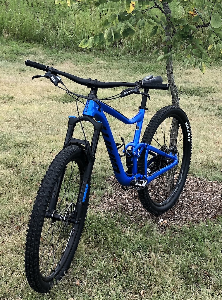 2019 trance 29er