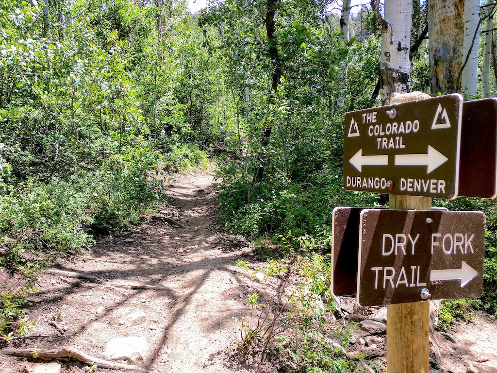 Intersection of Colorado Trail and Dry Fork Trail