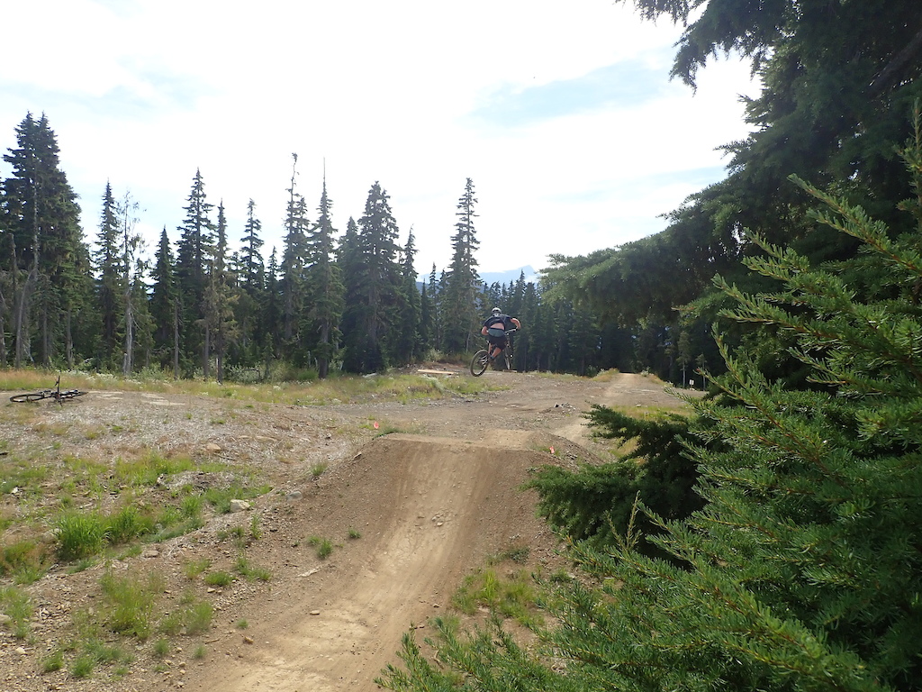 A mountain biker mid-air over a dirt trail in a forest clearing with sparse vegetation.