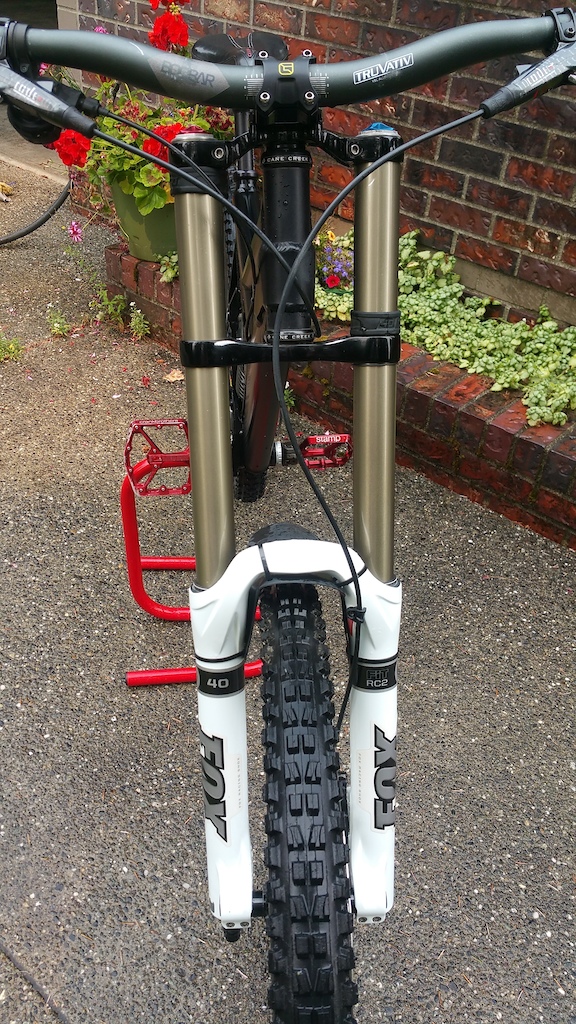 in Lake Stevens, Washington, United States photo by