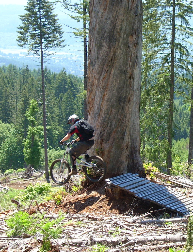 The old high speed jump in the clearcut.