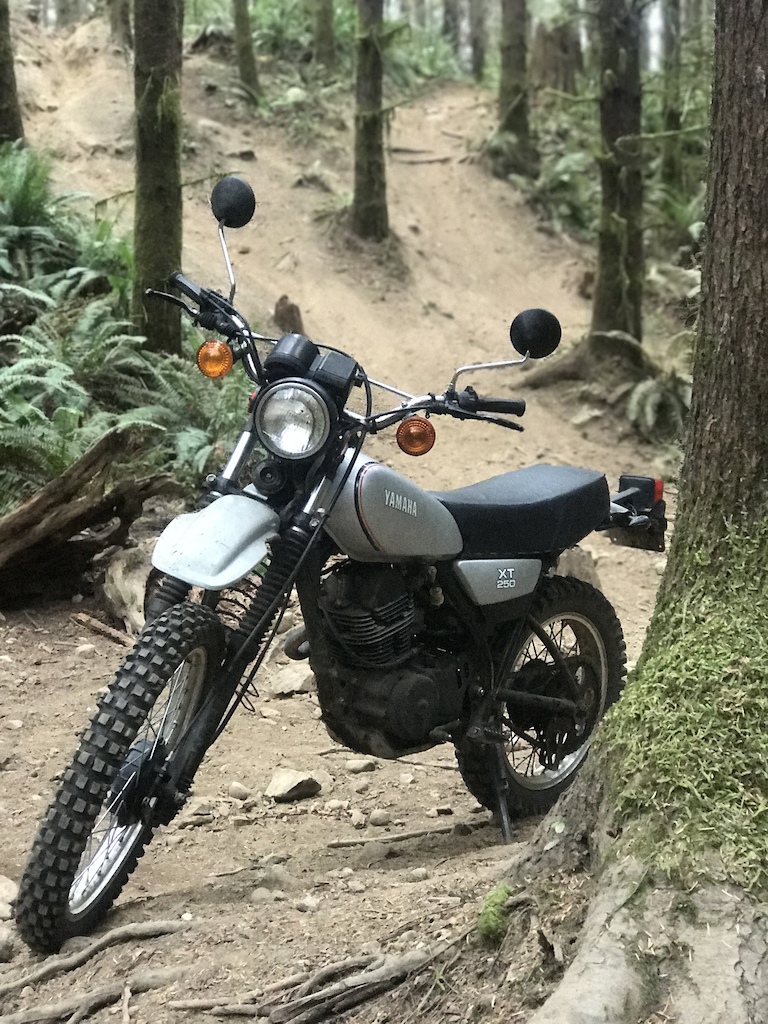 Fire road blaster and fun in the woods too!  22bhp/230lbs