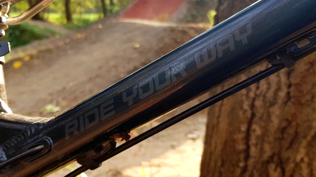 Ride your way!