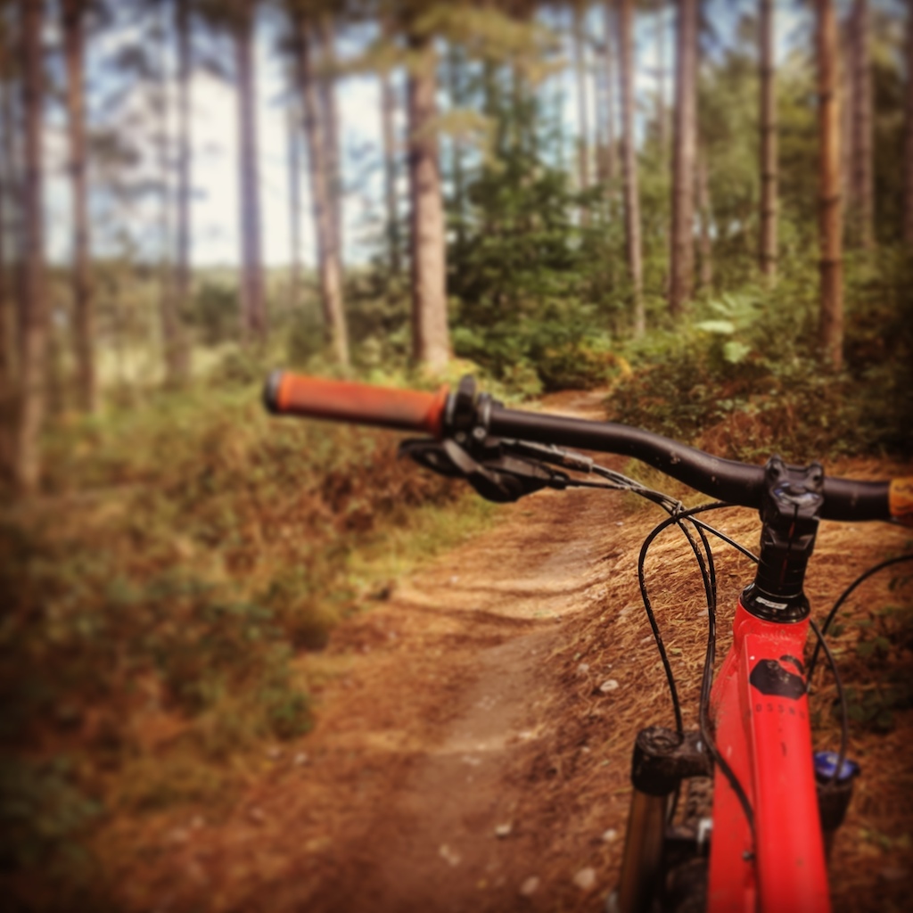 Trying to get fit with the Bossnut V2 at Sherwood Pines