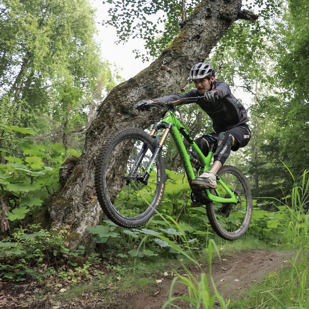 Peak summer singletrack
