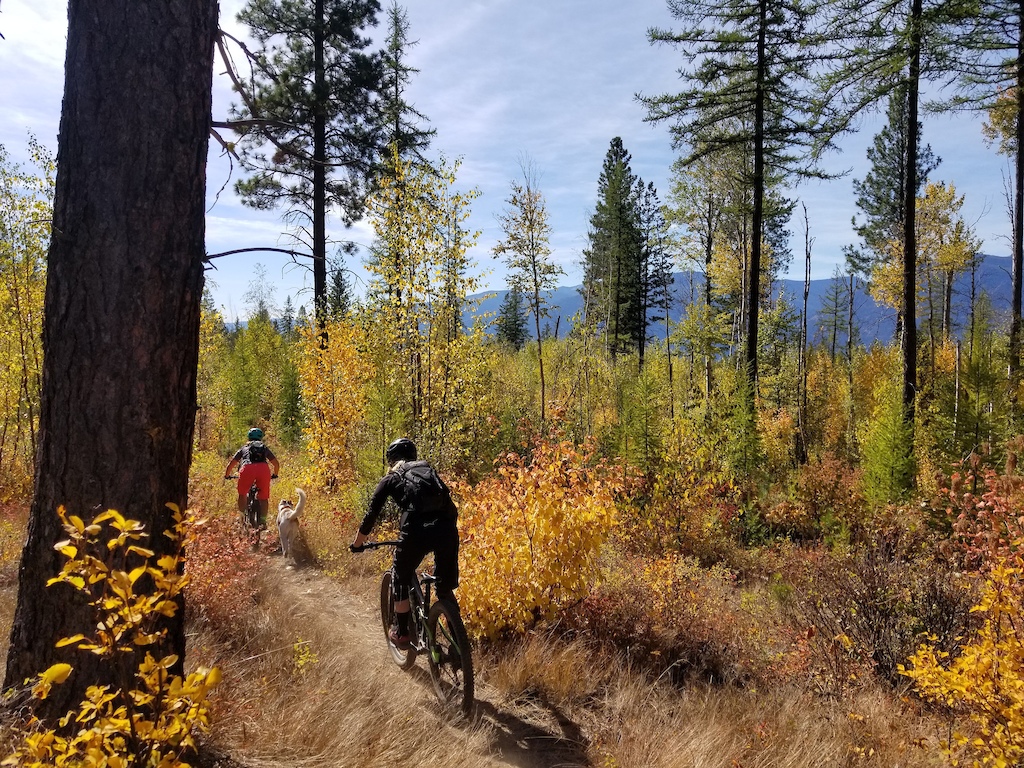 Single track adjacent to the Brush Lake campground.