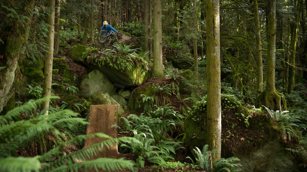 Self-shot photo in the lush fern forest of Bellingham. bike: Rocky Mountain Slayer