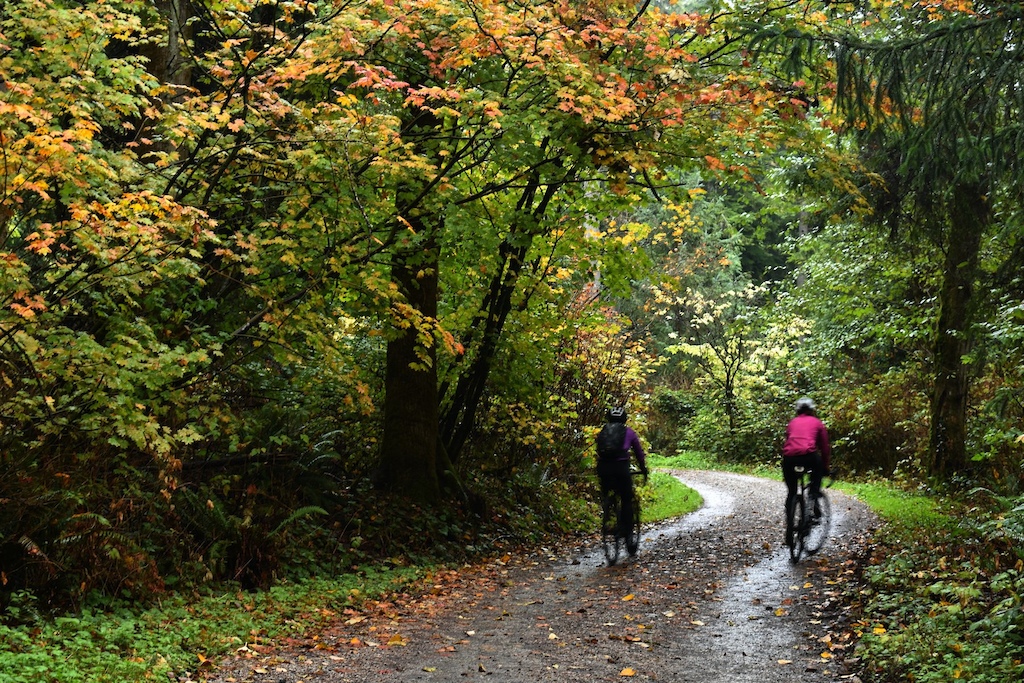 Ladies blissfuly biking in the north west temperamental weather blanketed by the tapestry of fallen leaves.