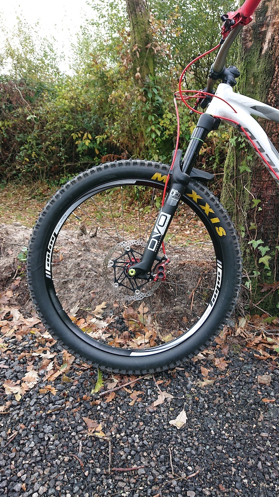 The new DVO Beryl boost fork, running 100psi and set at 150mm travel. It's amazing for this bike!