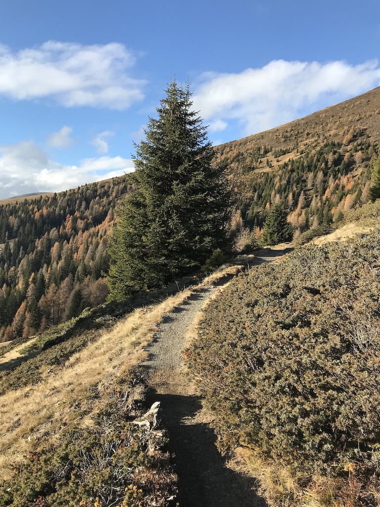 Natural single trails on path number 5