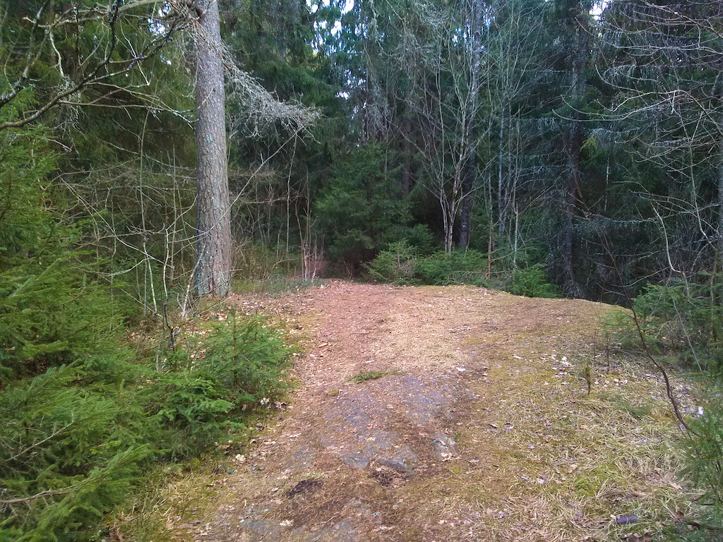 to the right you can see the edge of the cliff, trail continues down to the left.