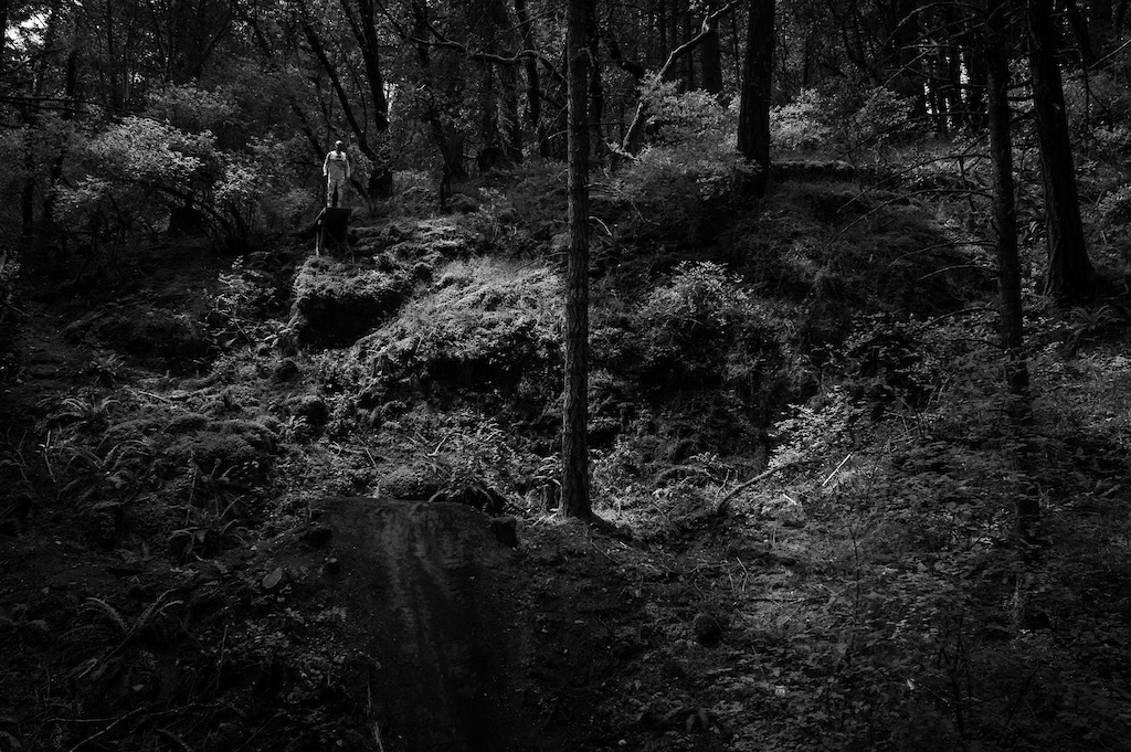 Photo by Margus Riga