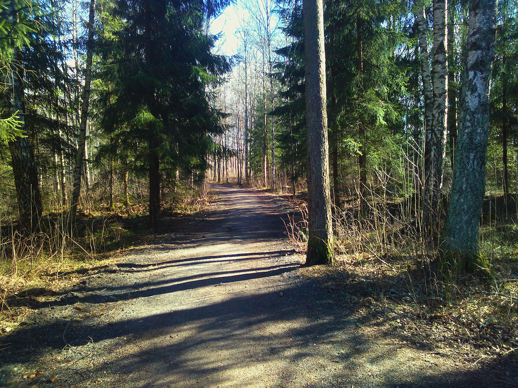 Near the playground, looking towards the trail.