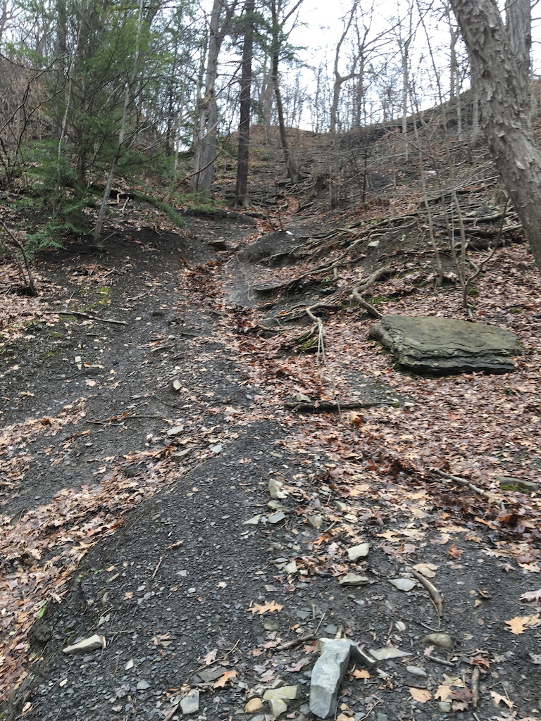 Steep shale chute line, most of it was not ride-able in current condition, maybe someday
