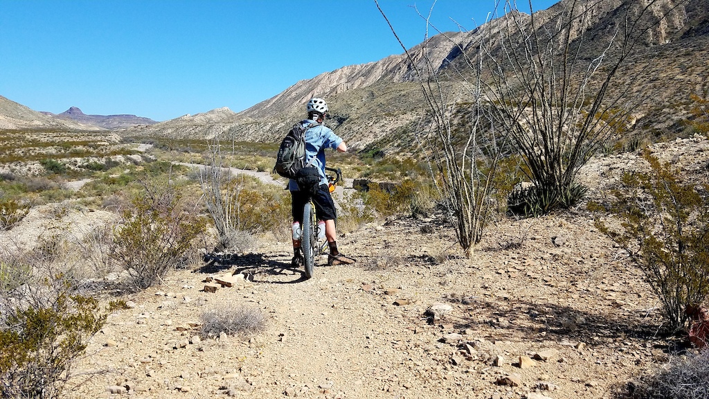 at Fresno Canyon Road in Terlingua, Texas, United States photo by