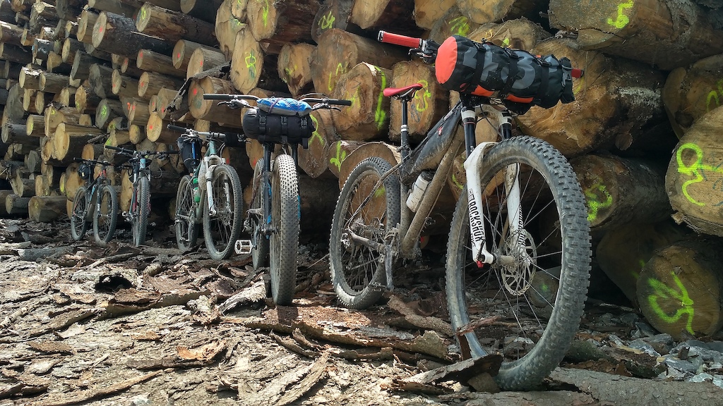 Loads of bikes and logs.