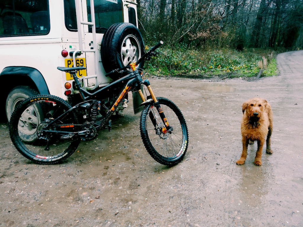 just finished a ride and thought i'd get a picture of my fully custom trek slash and my dog.