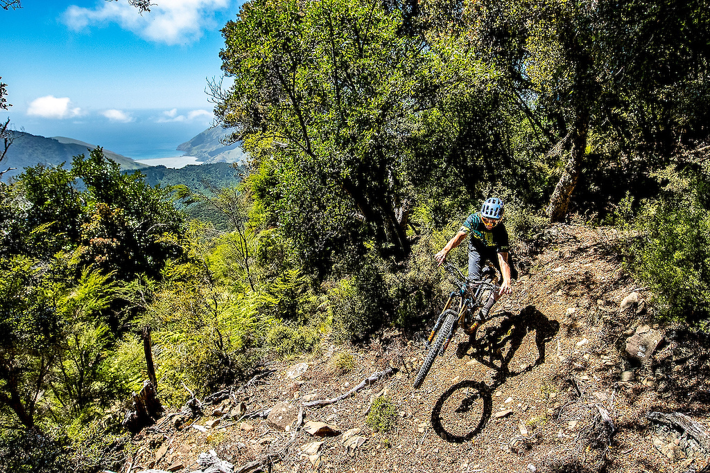 Nelson trails are all about mountain to sea experiences. Photo: Sven Martin