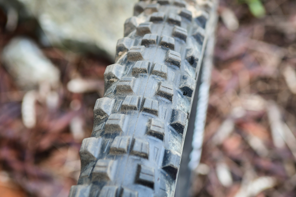 Michelin Wild Enduro tire review