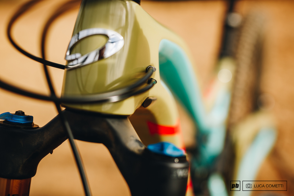 Review: Niner's 2019 RIP 9 RDO 29 - Pinkbike