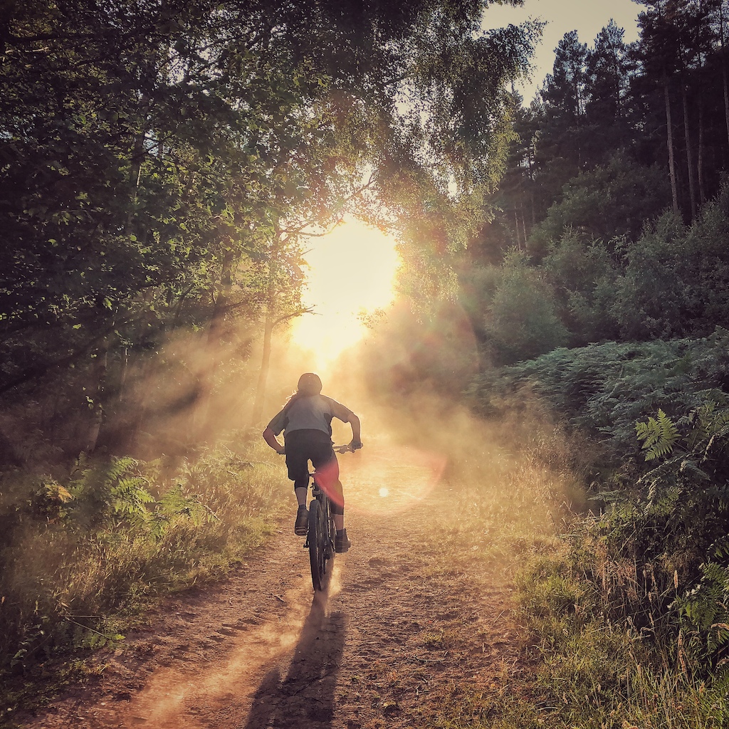 after work ride in the wyre forest uk 
shot on i phone 8