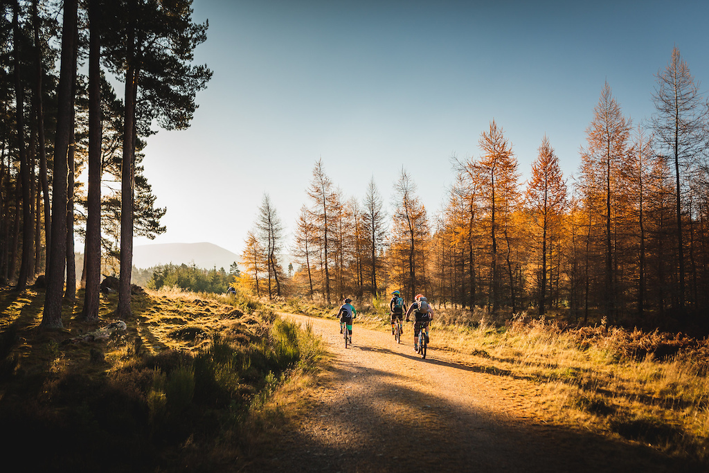 at Inshriach Trail 1 in Aviemore, United Kingdom - photo by pocketfox ...