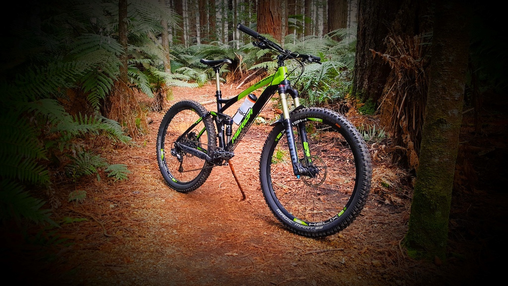Out Shredding the Trails in the Whakarewarewa Forest