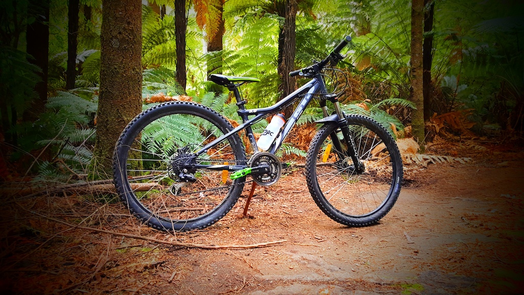 Oliver's Hardtail - Out Shredding the Trails in the Whakarewarewa Forest