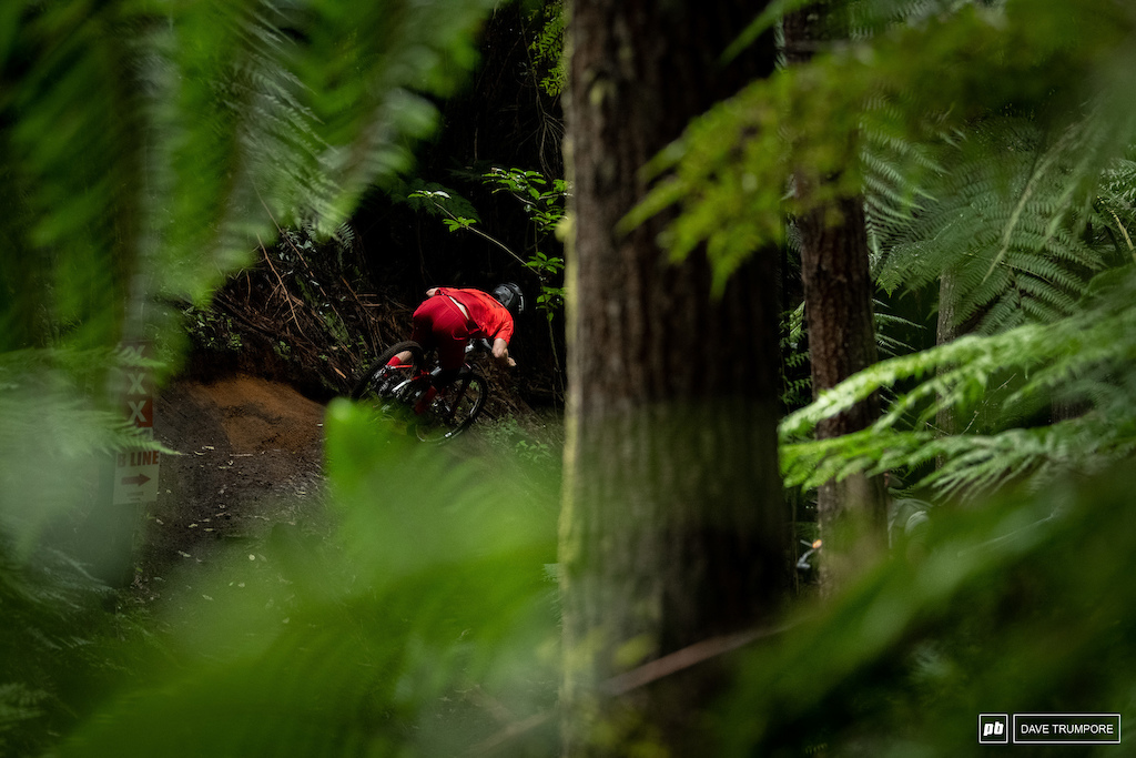 Keegan Wright was just a blur of red through the greenery of the forest.