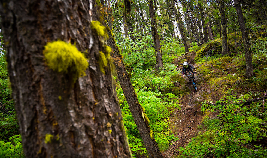 Photo provided by Trans BC Enduro