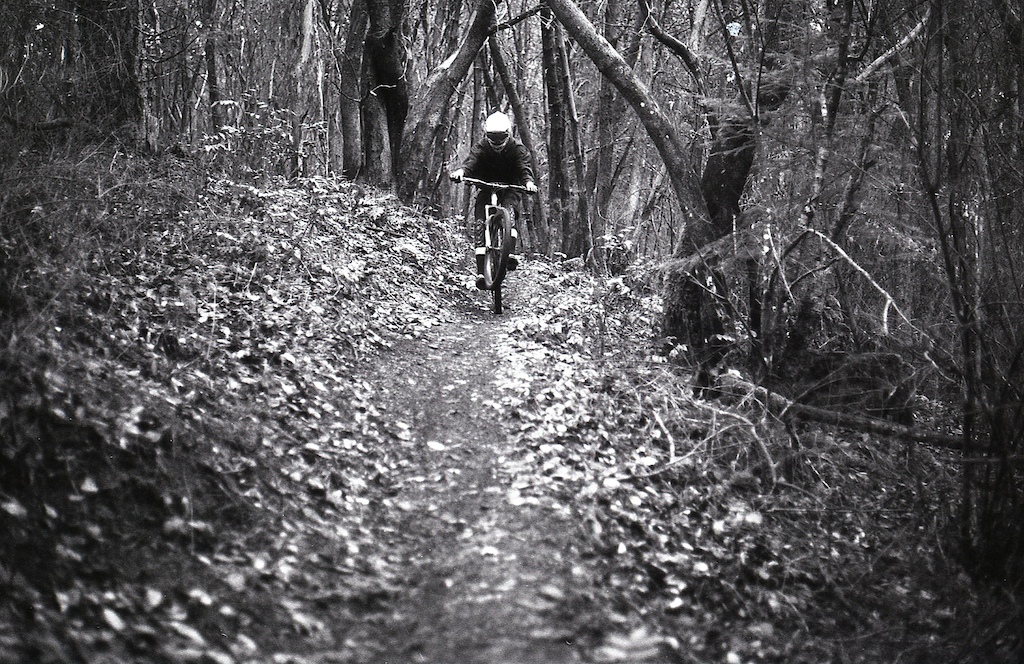 Delta 100 Film