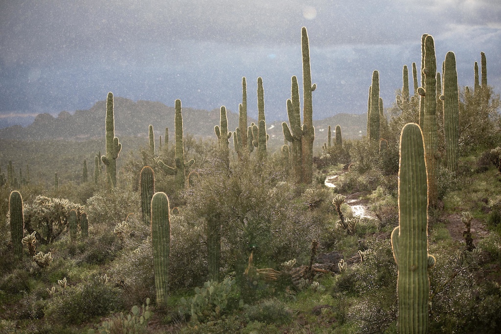 Photo Story: Riding The Outskirts of Arizona's 'Valley of ...