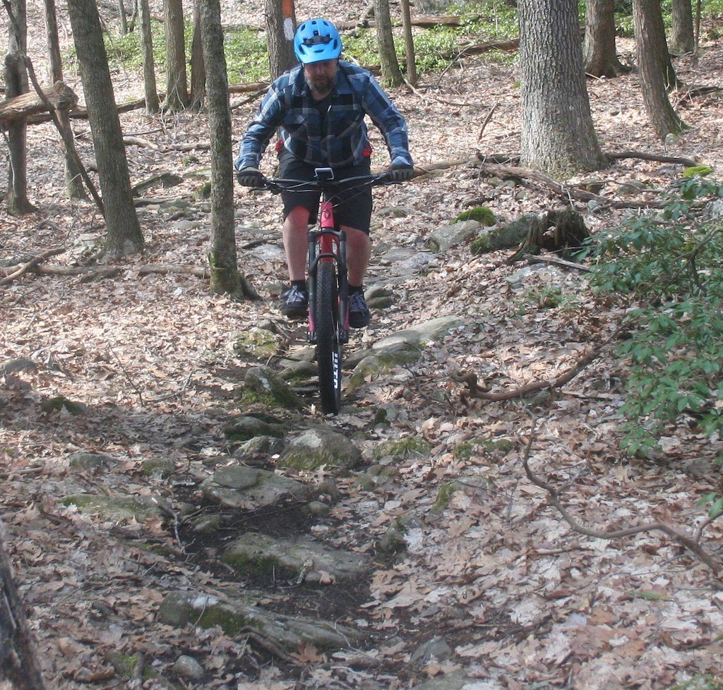 Awesome mix of trails at Leadmine, from smooth cart paths to fun tech!