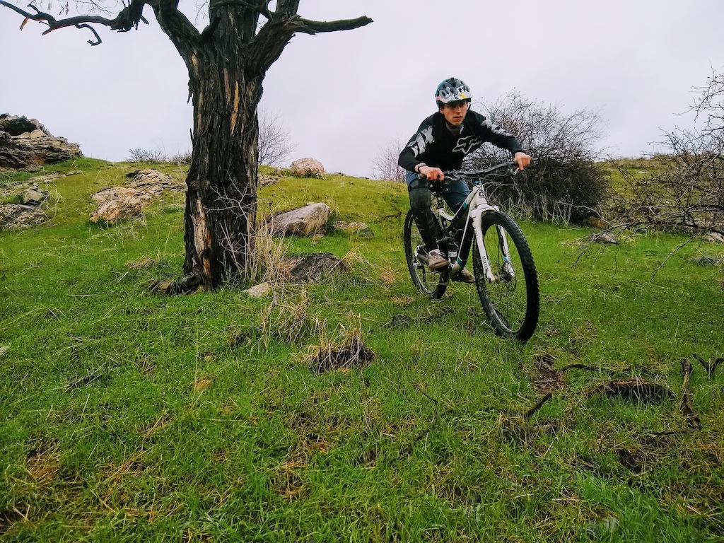 Freeride Tuesday