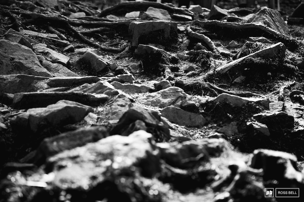 A minefield of roots and rocks ready to wreck rims and tires.