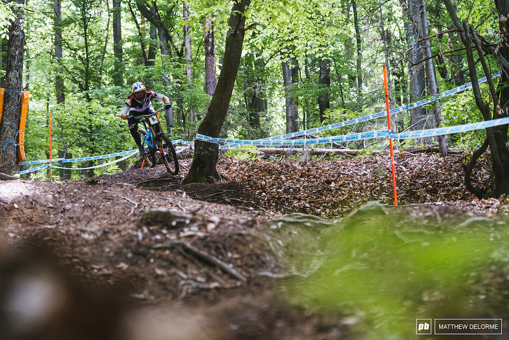 The Bulldog smashing his way through roots and loam.