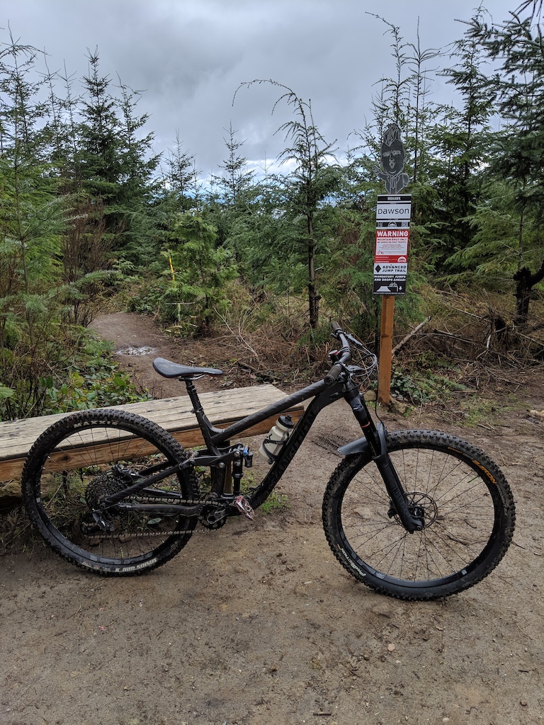 Here is the steed in its natural habitat of the Bellingham forest.