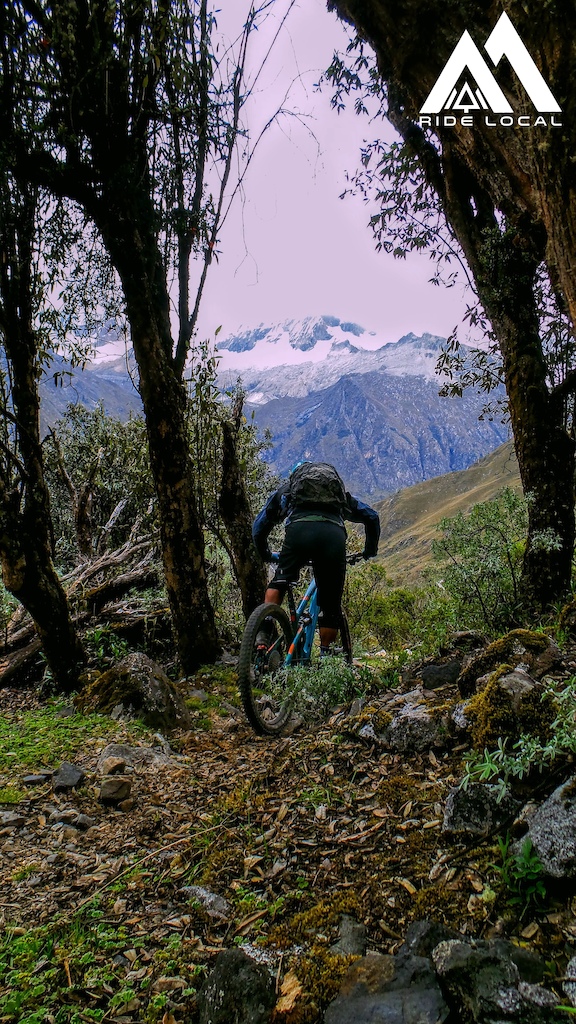 Entering treeline in the Cordillera Blanca