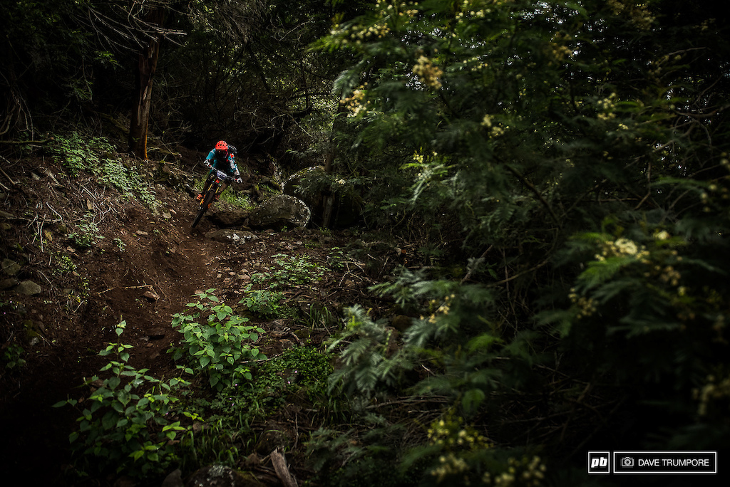 Ludo May through some lush Madeira forest back in 2017 when the EWS first came to Madeira
